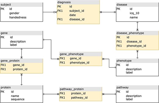 The equivalent normalized relational physical design, with entity tables (white) to store attributes, and join tables (yellow) to implement the relationships.