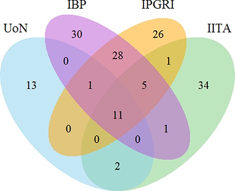 Venn diagram for the count of 230 trait names in bambara groundnut unique and shared across the different institutions. The numbers show the number of unique and shared trait names across the different institutions. Abbreviations in the sets are as follows: University of Nottingham (UoN), Integrated Breeding Platform (IBP), International Plant Genetic Resources Institute (IPGRI) and International Institute of Tropical Agriculture (IITA).