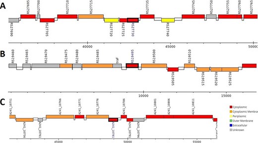 Genomic analysis of β-CA sequences from putative contaminants associated with Pseudomonas spp. The analysis shows the presence of coding genes for β-CA from (A) Pseudomonas sp. (UniProt ID: A0A0Q8Y2C1), (B) Pseudomonas sp. LP_8_YM (UniProt ID: A0A4R3W4C9) and (C) Pseudomonas syringae pv. actinidiae ICMP 19096 (UniProt ID: A0A656JXK1).