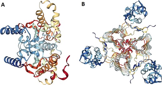 细菌污染物中β-和γ-CA蛋白序列的蛋白质结构分析。（A） 登录ID：5JJ8晶体结构属于铜绿假单胞菌的β-CA，（B）登录ID：3PMO晶体结构属于绿假单孢菌的γ-CA。A和B是从PDB数据库中获得的，它们分别是与细菌污染物中的β-和γ-CA最相似的结晶结构。