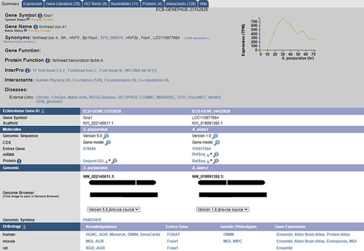 A sample gene summary page for foxa1. The updated developmental time course is shown in the top right. The ortholog of the gene in different echinoderms, as predicted by our pipeline, is seen under the ‘Echinobase Gene ID’ section. The gene can be viewed in JBrowse by clicking the links under the ‘Genomic’ section. Additional orthologs to non-echinoderm species as predicted by NCBI and are reported under the ‘Orthology’ section.