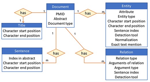 High-level view of the information stored in the database for an abstract.