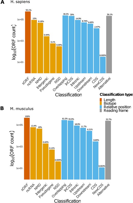 Count of ORFs in each class. The bar plots represent the count of ORFs annotated for each class for (A) H. sapiens and (B) M. musculus. The percentages displayed over the bars indicate the proportion of ORFs annotated in the class over the total number of ORFs registered in the database for the species. NMD: non-sense-mediated decay; NSD: non-stop decay.