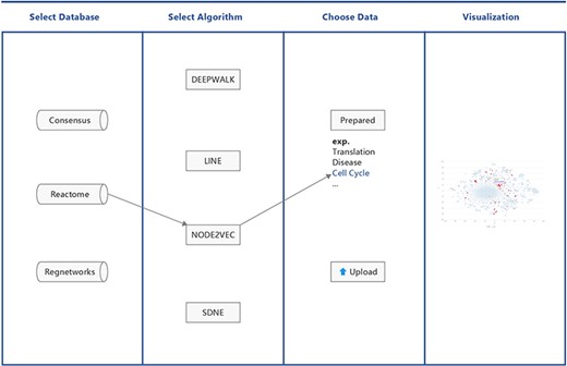 Workflow of BENviewer.