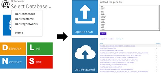Operation process and related pages.