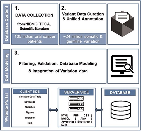 The overall schematic overview of steps to build dbGENVOC.