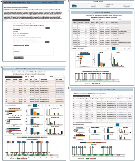 Screenshot of home page and result page. (A) Search for variants by single gene, multi-genes, region, multi-sites, patient ID and pathway identifier. (B) Search result can be explicated by ‘exome somatic’, ‘exome germline’, ‘whole genome somatic’ and ‘whole genome germline’ variant data by clicking the respective buttons. (C) Search result variants information and corresponding graphical representation from Indian oral cancer patients. (D) Search result variants information and corresponding graphical representation from TCGA-HNSCC data. (E) Search result variants information and corresponding graphical representation from scientific literature oral cancer patients’ data.