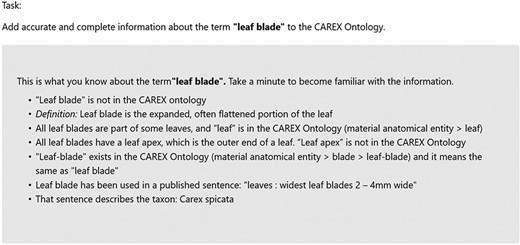 Experimental procedure.