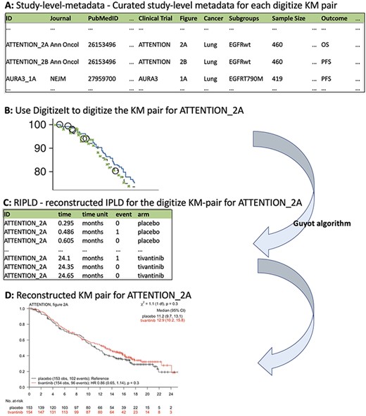 KMDATA structure. Each publication (A) was digitized (B) and processed using the Guyot algorithm to obtain time-to-event reconstructed data (C). The digitalized figures are included in the kmdata package. (D) Example of the reconstructed figures.