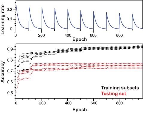 Training of the neural network. Top panel: scheme for learning rate cycling during training of independent models. Bottom panel: for each independent model, accuracy was monitored along training epochs for training subsets and testing set.