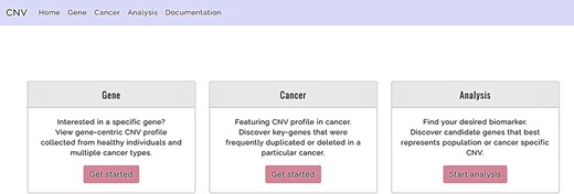 Functions offered by CNVIntegrate—gene, cancer and analysis (i) Gene: gene-query function. (ii) Cancer: cancer profile function. (iii) Analysis: analysis function.