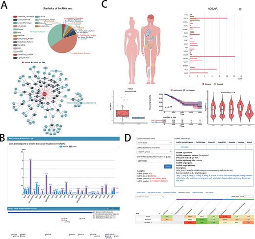 Examples of graphical analysis outputs generated for the LncRNA HOTAIR in cancers using web platforms: (A) Functions (i) and relevant ceRNA network diagram (ii) of HOTAIR was analyzed by LncSEA in 18 kinds of reference data sets, including Accessible chromatin, Cancer hallmark, Cancer phenotype, Cell marker, Disease, Drug, Enhancer, RNA-binding protein, Methylation pattern, MicroRNA, EQTL, smORF, Subcellular localization, Super enhancer, Survival, TF, Exosome and Conservation. (B) The expression differences of HOTAIR in 21 types of cancer and normal tissues was shown in histogram (i) by LncRNASNP2. And the scatter diagram (ii) was shown the binding sites of miRNAs predicted by LncRNASNP2. (C). Lnc2Cancer output an overview of the statistics of lncRNA HOTAIR based on the human map and expression charts of cancer tissues (i). Box plot (ii) was used to compare the expression of HOTAIR between specific cancer and normal samples. (iii) Kaplan–Meier plot showing overall survival in higher (shown in red) and lower (shown in blue) HOTAIR expression groups in of COAD patients. (iv)Violin plots showing lncRNA expressing levels among stage I, II, III and IV COAD samples. D. LncR2Metasta (i) displayed the cancer metastasis events in which lncRNA HOTAIR may involve in and provided supported information such as expression patterns, detection methods and origin research paper. LnCAR (ii) shows the degree of metastasis expression of HOTAIR in different cancers by heat map, where green transition red represents the transition from low expression to high expression.
