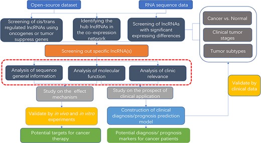 Flow chart of lncRNA in silico analysis and validation in oncology research. This flow chart indicates the general process of lncRNA analysis and validation in cancer research, the purpose of which are searching for characteristic markers of diagnosis/prognosis or potential molecular targets for treatment. Both data from open-source datasets or high-throughput sequencing results of clinical samples can be utilized. The specific lncRNA can be screened out by analysis of expressing differences, co-expressing network or cis/trans regulating of oncogenes or tumor suppressors. To clarify its roles, researchers can use web tools (the red dotted line area, which is described detailed in Table 2) to analysis the specific functions, including sequence general information, molecular function, and clinic relevance. It is essential to verify the results of the functional analysis by molecular experiments and animal models. For the establishment of diagnostic/prognostic markers, in addition to validation, lncRNAs also need to be compared with the existing clinical criteria to evaluation.