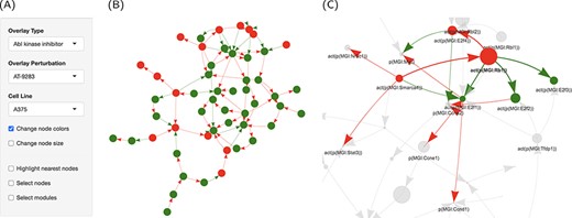 Graph representation of the network perturbations. (A) Input panel to search and select from the main inputs for individual perturbations to visualize on the network graph. (B) The ‘cell cycle’ network shown as a graph overlaid with the effect of ‘AT-9283’ in the ‘A375’ cell line. (C) The same with the highlighted cluster. Nodes are colored by the direction of regulation in response to the drug treatment (red, up, and green, down-regulated). Edges are colored by regulation direction between the nodes (red, increase; and green, decrease).