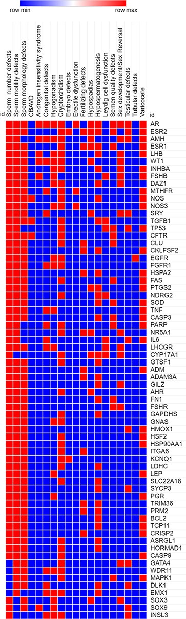 A heatmap representing the association (in red) and no association (in blue) of genes with the different reproductive disorders indexed in MIK.