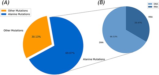 Statistics of the Nabe database. (A) Alanine mutation percentage chart. (B) The ratio of DNA to RNA in alanine mutation.