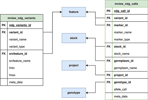 ND Genotypes materialized view implementation. Mview_ndg_variants (left) contains all variant locations providing support for multiple genome assemblies without duplicating the allele data stored in mview_ndg_calls (right). Both these materialized views pull data from several Chado tables (center, blue) to prevent table joins in user-triggered queries. There are numerous foreign keys in these materialized views to allow retrieval of infrequently required metadata.