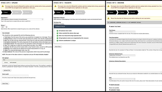Analyzed Phenotypes Upload form. The left panel shows the first stage of upload, where the user selects their experiment and genus and uploads their file in TSV format. Stage 2 (middle) processes the file and reveals green checkmarks where validation has passed and red x’s with helpful guidance if there were errors. The user can re-upload their file if there are issues or move onto the final stage (right) where they will be asked to describe each trait in their file. If a trait name matches exactly to an existing trait in the database, the fields will be gray and cannot be changed as seen in the screenshot but provide a valuable resource for the user to validate that the methods and units used are the same.