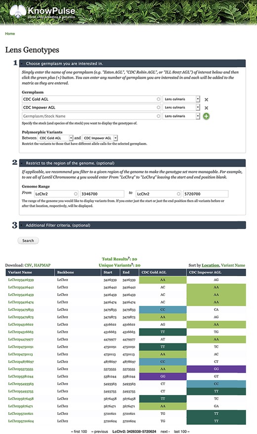Lentil Genotype Matrix functionality provided by ND Genotypes module. This screenshot shows the listing of polymorphic genotypic data for CDC Gold AGL and CDC Impower AGL restricted to LcChr2:3346700..5720700. This pre-filtered view can be accessed at https://knowpulse.usask.ca/AGL-Lc1.2-Matrix-Example. Alternatively, the user can access the genotype matrix tool and enter the filter criteria as shown in the screenshot starting with the germplasm names.