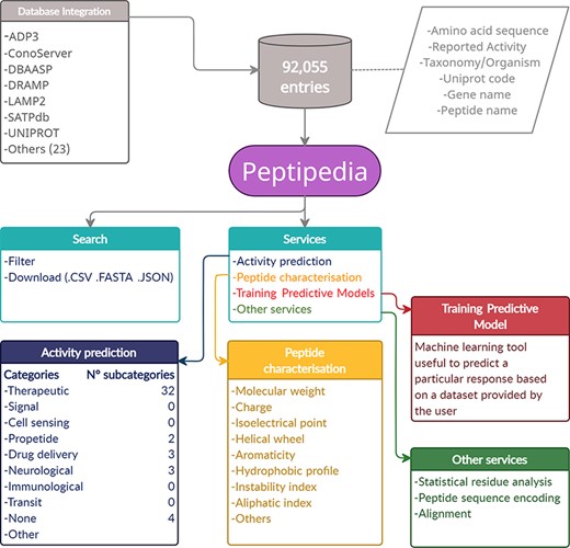 Representative scheme of building and characteristics of Peptipedia. Peptipedia is a computational tool for peptide sequence analysis. The information presented by our tool was consolidated from 30 databases, considering information on the sequence, taxonomy and different properties of stored peptides. Searching for sequences and relevant information in our web application is easy, personalized and intuitive, allowing download of the information in multiple formats. Peptipedia has enabled different tools that will help characterize and analyse sequences, as well as functionalities supported by machine learning methods that facilitate the development of predictive models and a biological activity predictor system.