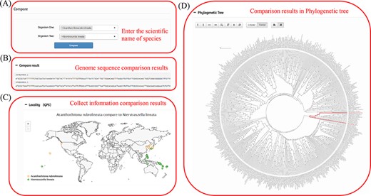 Comparison of two species in the MODB. (A) Input box for entering the scientific name of the species. (B) Comparative results of genome sequences. (C) Comparative results of species collection information. (D) Comparative results of evolutionary status.