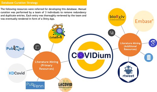 Database curation strategy adopted for the COVIDium.