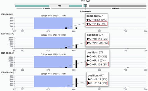 VirusViz compare functionality was applied to four groups of sequences collected in Texas in the first months of 2021 (see Example 3). We highlight a particular epitope that does not include the highly mutated 681 position (belonging to B.1.1.7 lineage, known as the UK variant of concern) but does include the position 677 and thus the Q766P mutation.