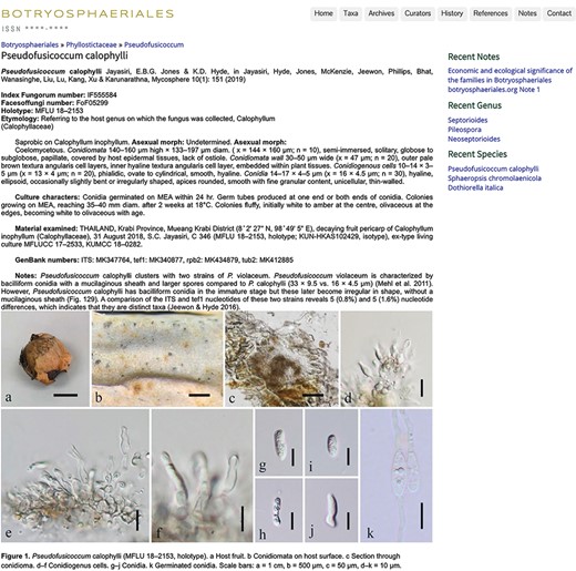 An entry with description, notes and plate (15).