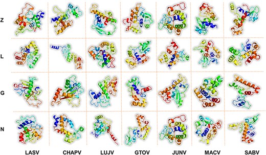 Represents the refined 3D structures of MEV designs for each protein of all the studied mammarenavirus species. x-axis includes names of the MMV species, while y-axis shows the vaccine-targeted proteins.