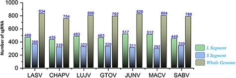 Represents the total number of sgRNAs identified for L, S and whole-genome segments respective to each of the seven mammarenavirus.