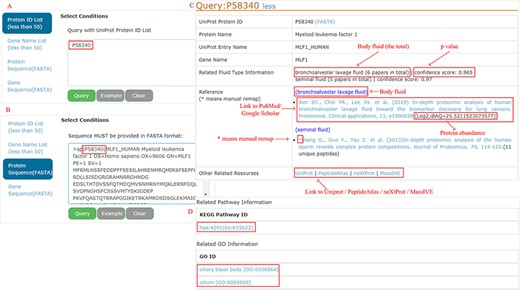 Example of query response with input as ‘P58340’ in the protein ID and protein sequence box.