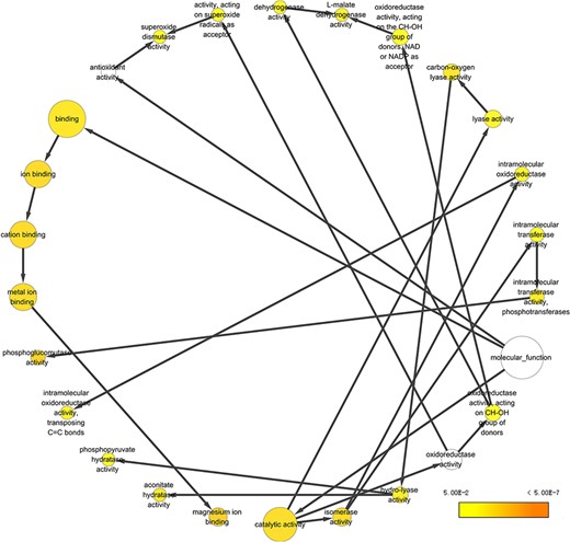 Example of GO annotation based on the 965 proteins common in five body fluids.