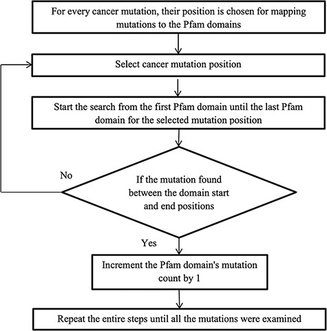 Flowchart for mapping mutations to the protein domains.