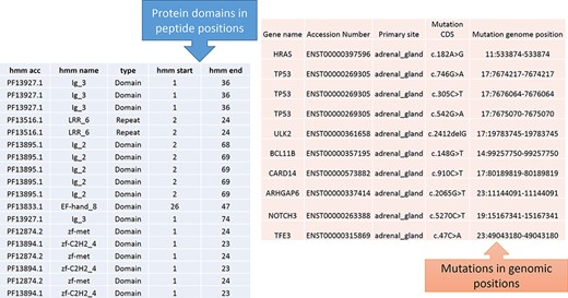 Predicted protein domains with peptide start and end (blue table) and cancer mutations are represented in genomic positions for the adrenal gland (pink table).