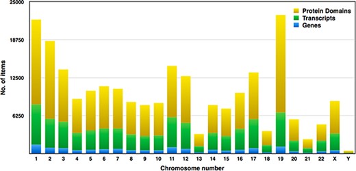 Distribution of genes, transcripts and protein domains within human chromosomes.
