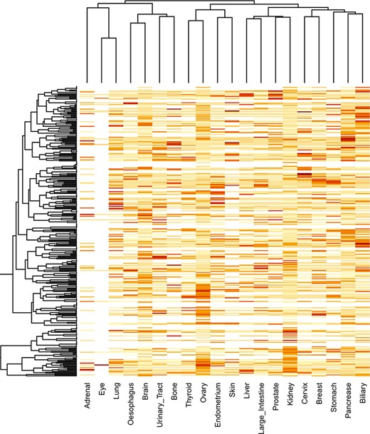 Clustering of significantly mutated domains (SMDs) across different cancer types. The heatmap reveals the importance of cancer-specific SMDs in various cancers. The sidebars in the same color represent the domain instances belonging to the specific cancer type.