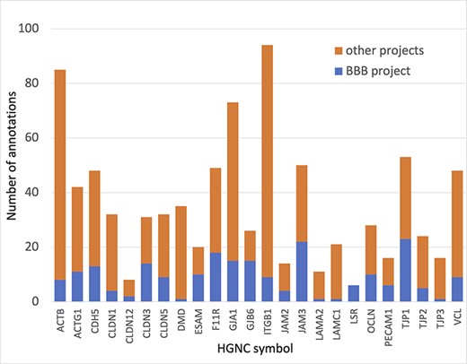 Annotation of proteins involved maintenance of cell junctions at the BBB. The number of BBB-relevant annotations created for each of the cell junction priority proteins as part of the BBB-focused annotation project (BBB project), compared to the total number of annotations associated with these proteins. A BBB slim (Supplementary Table S5) was used to download potentially BBB-relevant annotations from QuickGO (11) (28 May 2021). All annotations are associated with these proteins and can be viewed online using the following link: https://tinyurl.com/y59y8e7c.