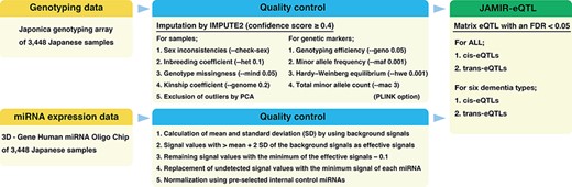 Flowchart of the JAMIR-eQTL database.