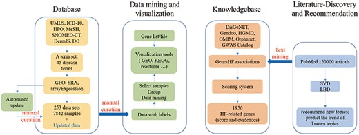 The construction framework of HFIP.
