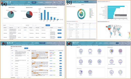 Four-function modules of HFIP. (a) Database; (b) Knowledge base; (c) Literature Base and (d) Tool pool.