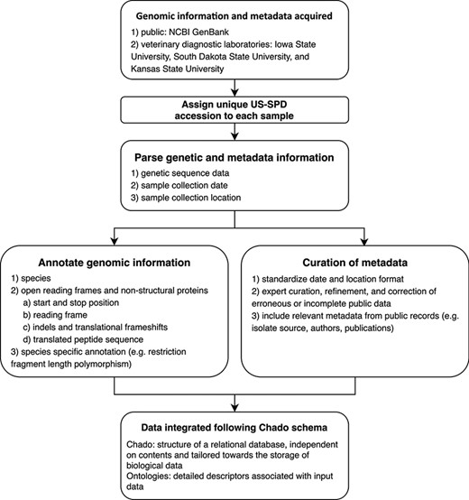Conceptual model describing the automated pipeline implemented in the US Swine Pathogen Database that takes raw sequence data to fully anonymized and annotated virus sequence record in the relational database.