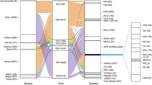 Relationships among samples, viruses and diseases. This figure shows mainly samples and diseases.