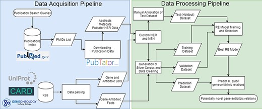 Complete flowchart of the developed pipeline which is divided as data acquisition on the left and data processing on the right.