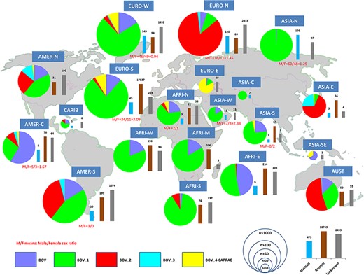 Worldwide distribution of bTB isolates and their human or animal hosts by United Nations (UN) sub-region.