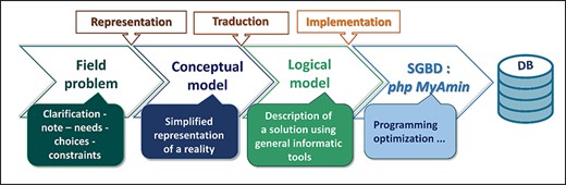 The four global steps that led to the Halophytes.rnrt.tn database conception.