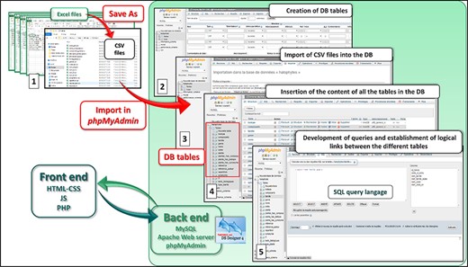 Web development strategy of Halophytes.rnrt.tn database.