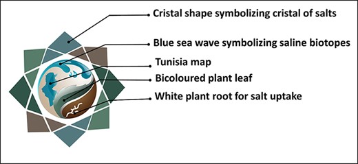 Logotype meaning of the Halophytes.rnrt.tn database.