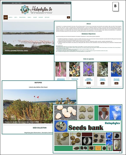 (B) Other topics and links of the home page.