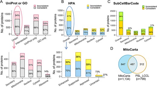 The evaluation of subcellular protein localization in PSL-LCCL against the public databases. (A) An agreement of neighborhood-based classification of proteins in PSL-LCC with proteins having unique localization annotated in UniProt or GO (upper). An agreement between PSL-LCC classifications and UniProt and GO single-location proteins of each neighborhood (below). Union, the union of UniProt and GO; Intersection, the overlap proteins in UniProt and GO. (B) An agreement of the neighborhood-based classifications in PSL-LCCL and proteins having unique localization annotated in Human Cell Atlas (upper) and their corresponding reliability score (below). (C) An agreement of the neighborhood-based classification in PSL-LCCL and proteins localized in SubCellBarCode Orre et al. (8). (D) An agreement of proteins localized in mitochondria in PSL-LCCL with MitoCarta Rath et al. (28).
