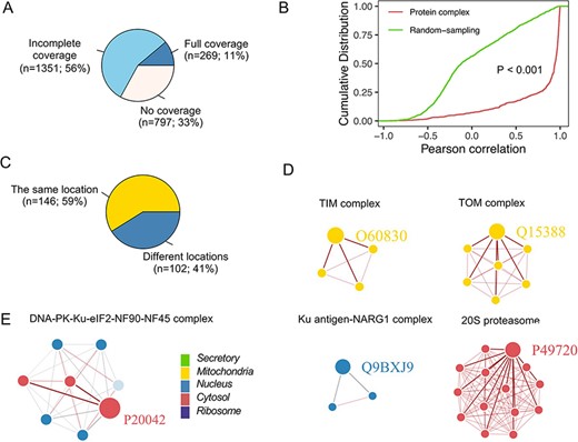 Subcellular localization for the protein complex. (A) The coverage of CORUM complexes in PSL-LCCL. CORUM: the comprehensive resource of mammalian protein complexes; full: all the protein complex members were present in our data; no coverage: members in the protein complex were not identified in our study. (B) A cumulative plot of the correlation for the protein complex members in CORUM. Random sampling was from a random sampling of correlations for nonprotein complex members. (C) The consistency of the localization of the protein complex members. (D) Examples of members of protein complexes located in the same neighborhood. (E) Examples of members of protein complexes located in different neighborhoods.